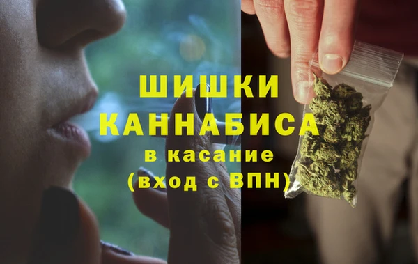 амф Верея
