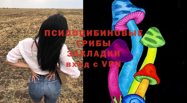 СК Бронницы