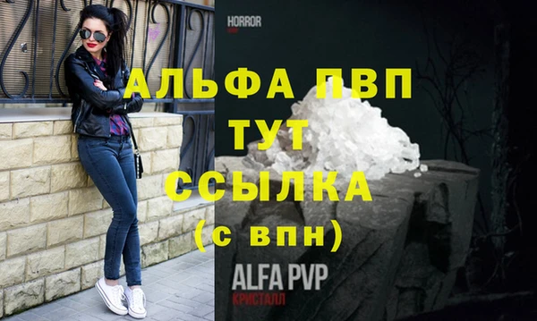 амф Верея