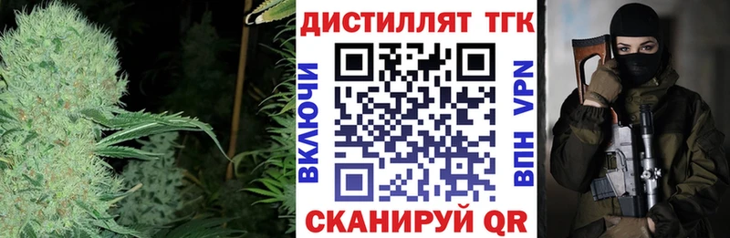 mega зеркало  Георгиевск  ТГК концентрат 