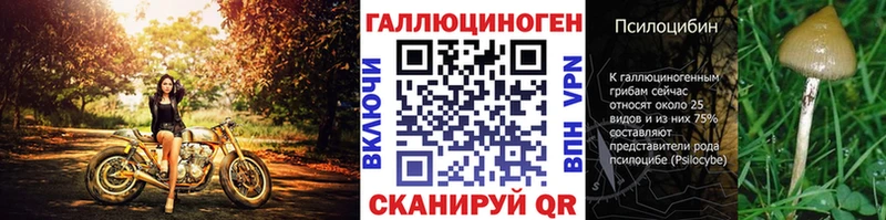 Псилоцибиновые грибы GOLDEN TEACHER закладка Георгиевск